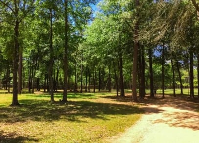 Stan Wadlow off-leash dog park, photo 3