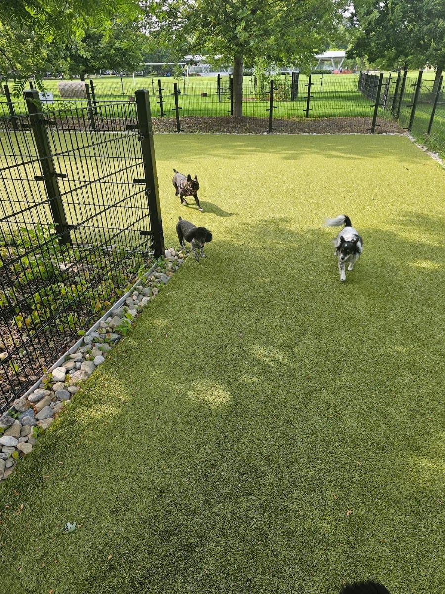 Greenwood Dog Park, photo 3