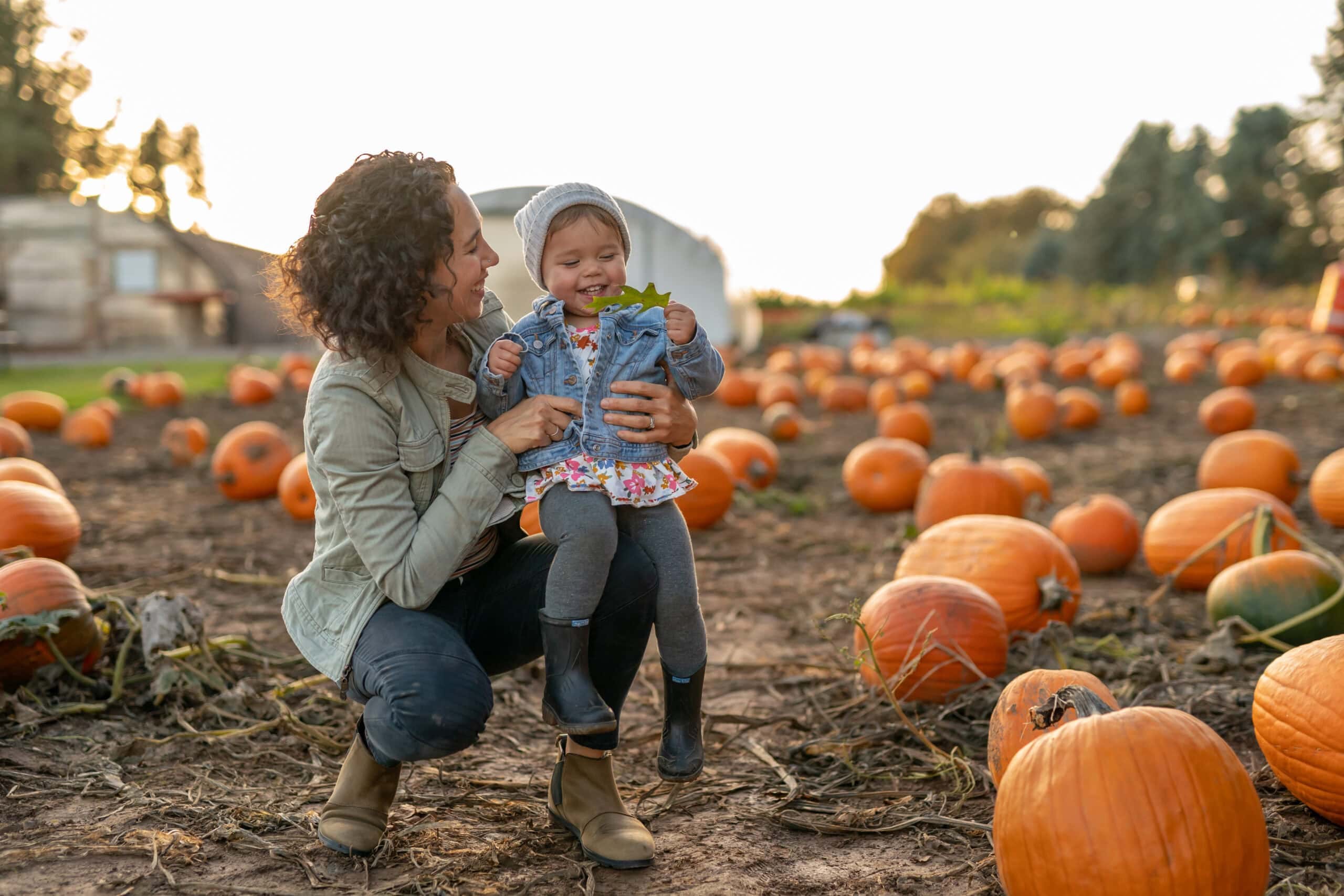 County National Bank Sets South Michigan Food Bank Record