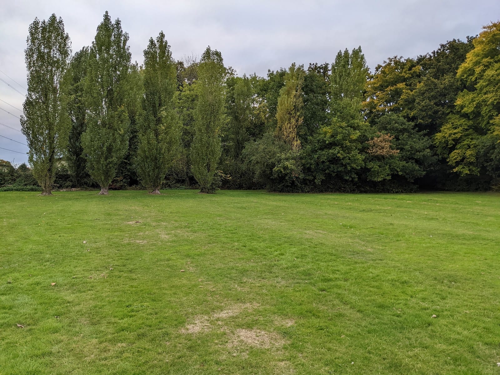 Woodbury Field Playground