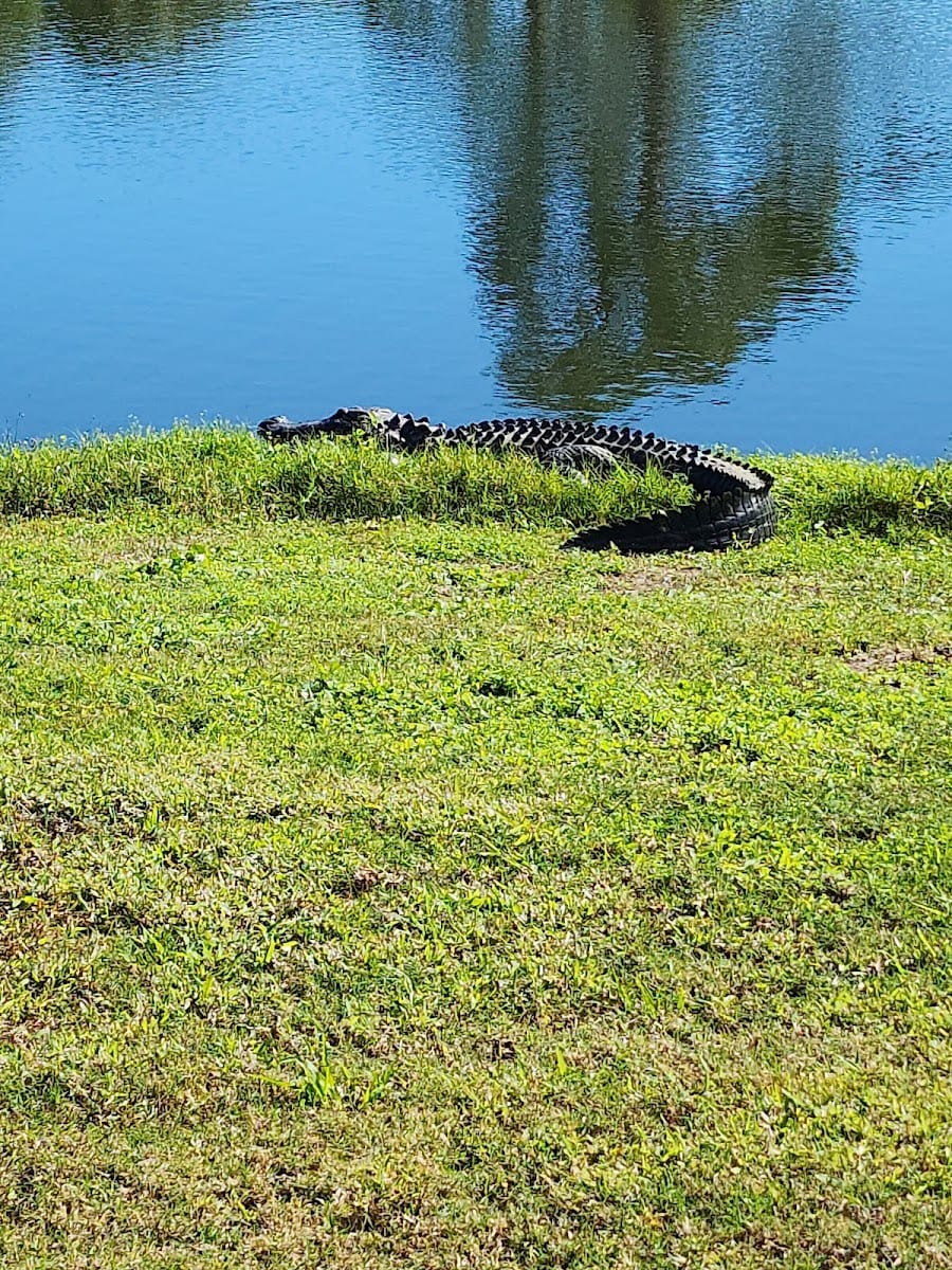 The Highlands Golf Course