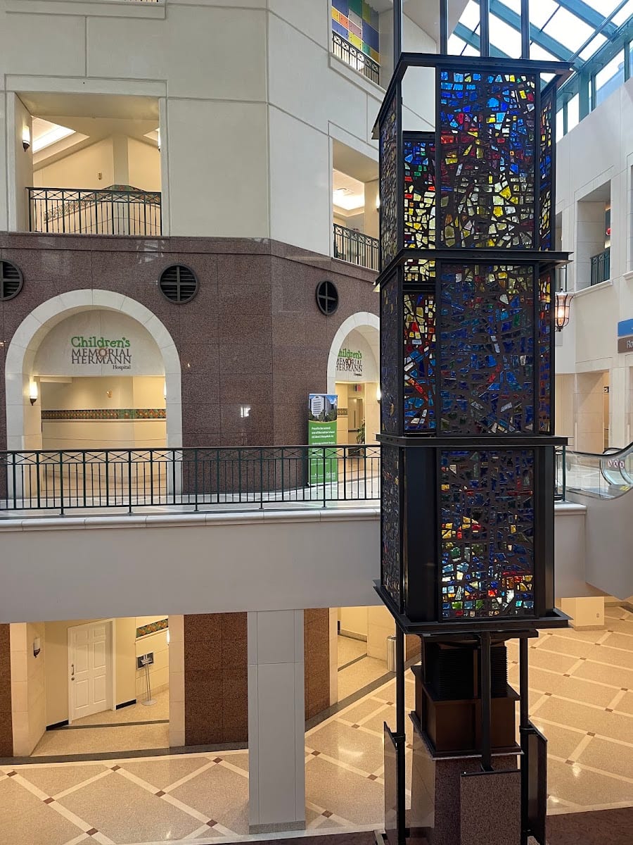 Memorial Hermann Heart & Vascular Institute-Texas Medical Center, photo 2