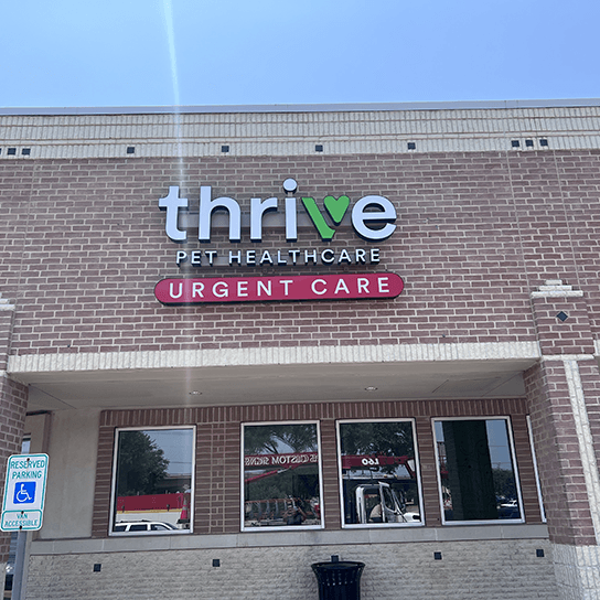 Thrive Pet Healthcare - Round Rock, photo 2