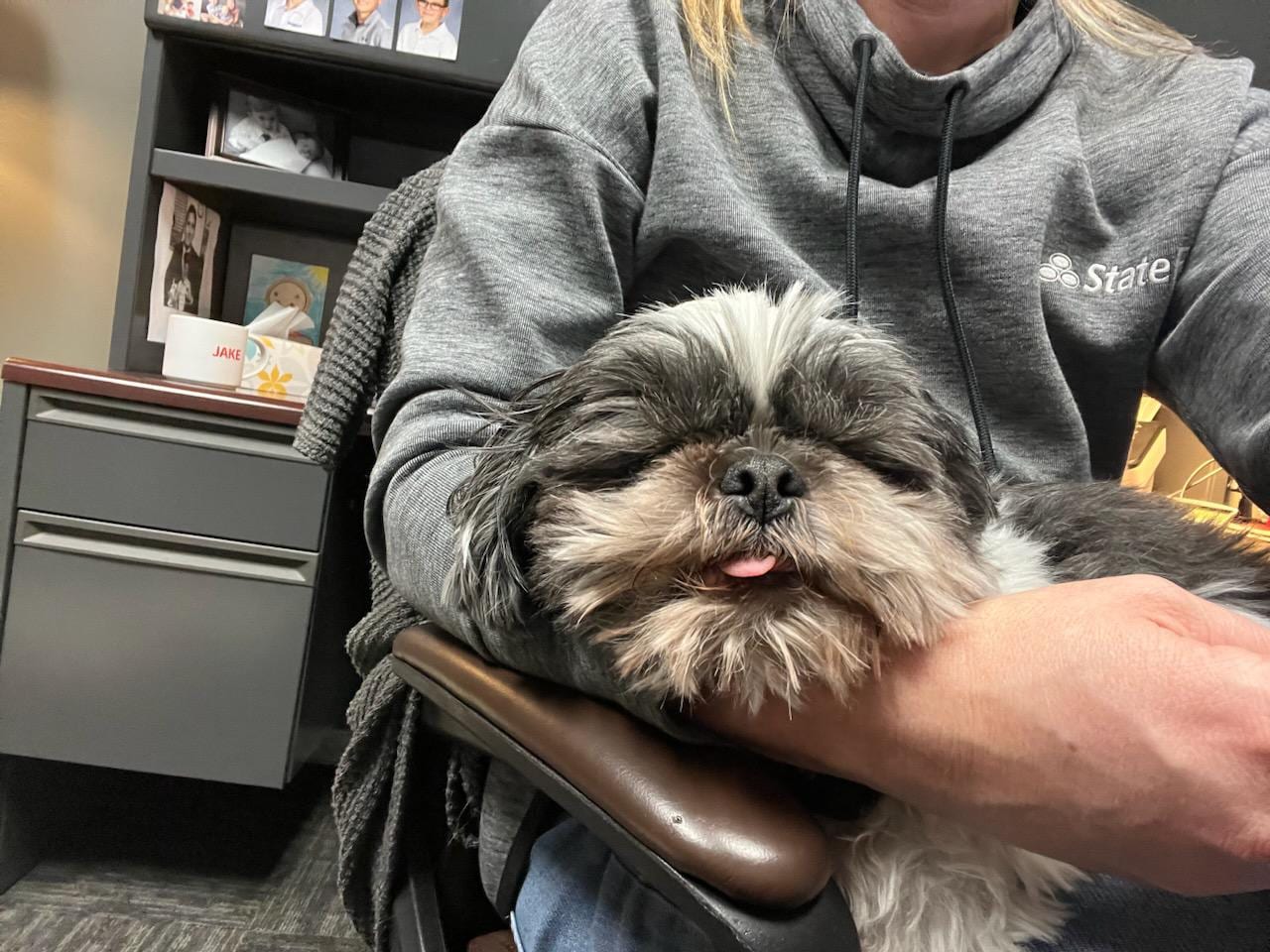 Stella Spiking - State Farm Insurance Agent