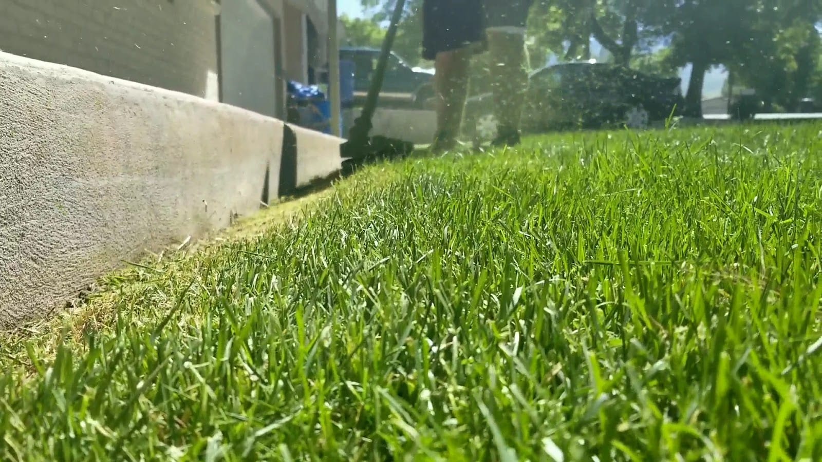 CV Lawn King LLC, photo 3