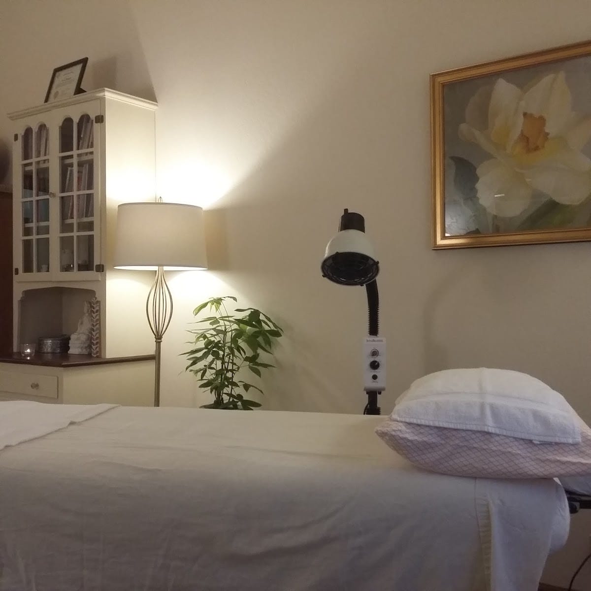 Dharma Acupuncture Dr. Lisa Swanson, DAIM, L.Ac.