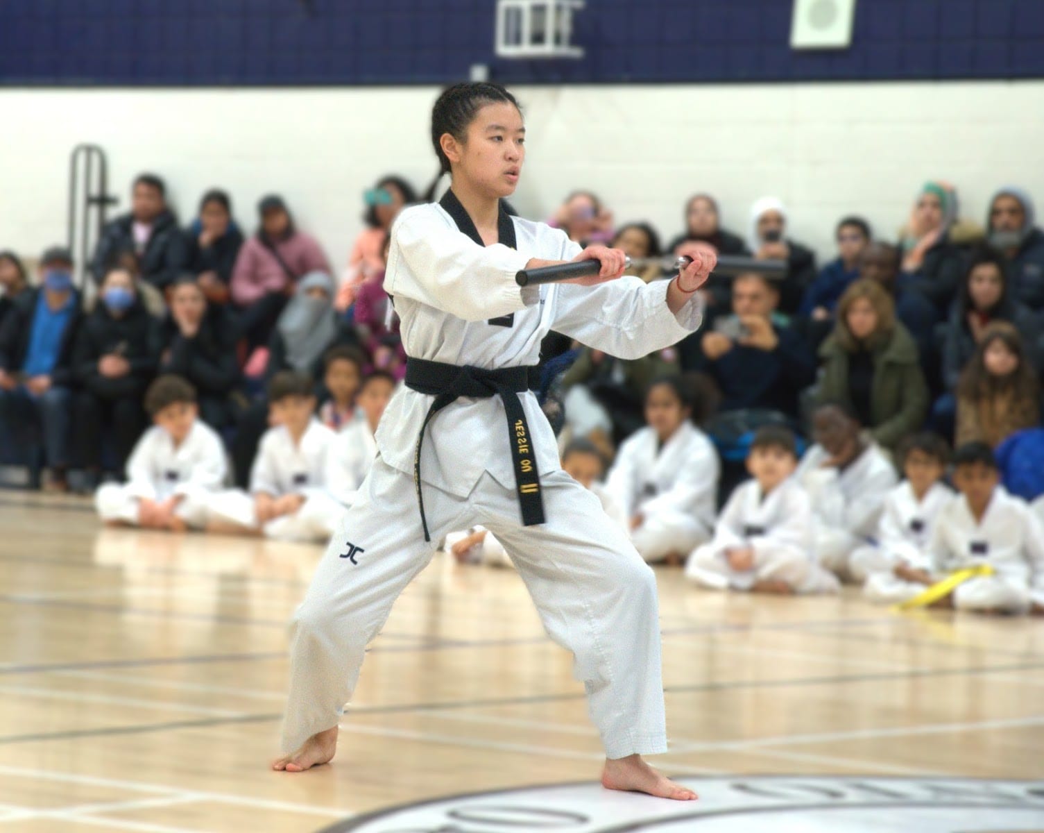 World Master Taekwondo Academy, photo 2
