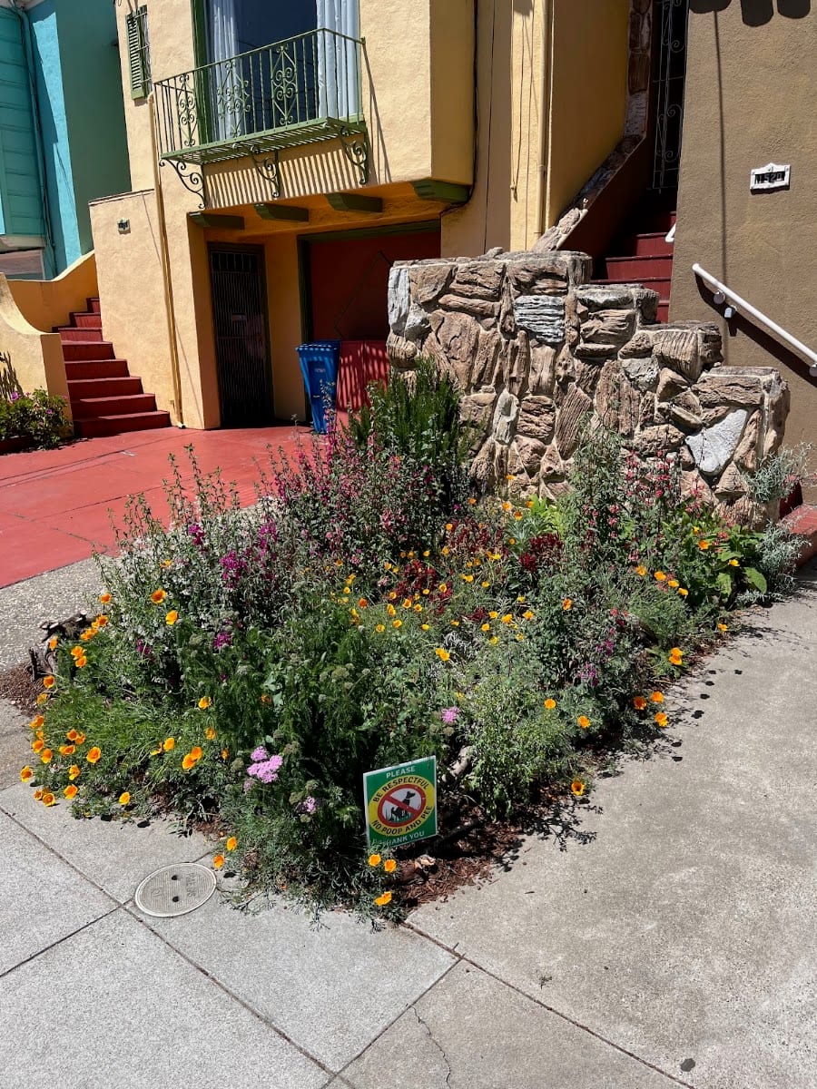 Ed's Garden Service, photo 2