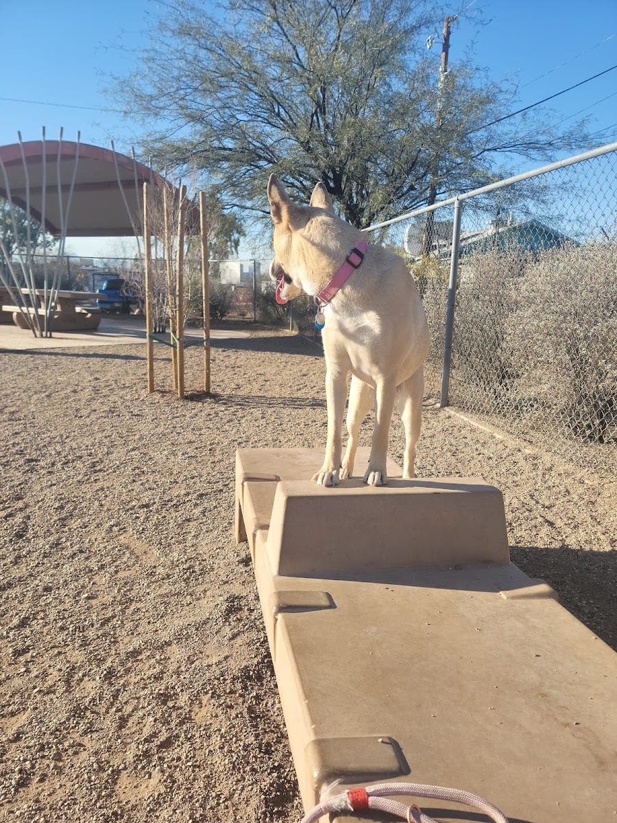 North Sixth Avenue Dog Park