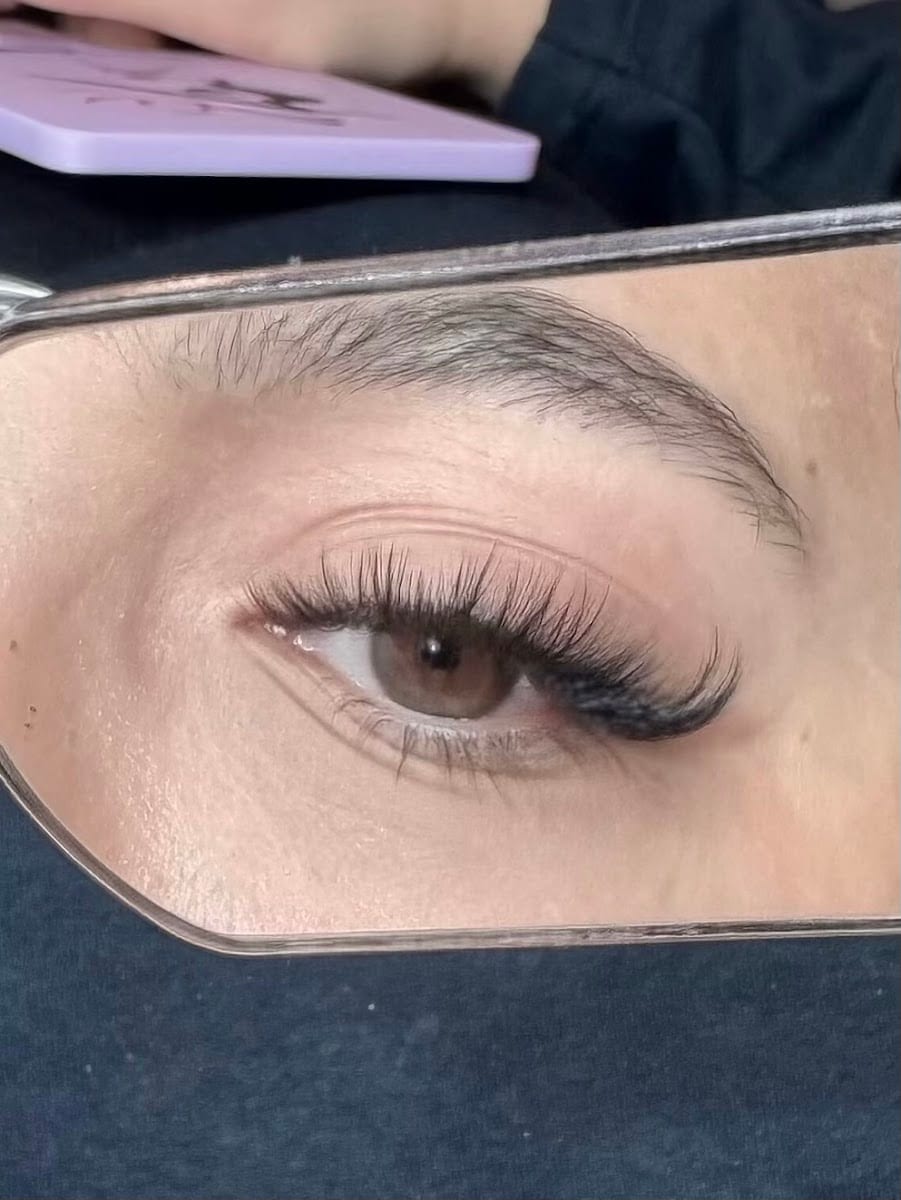 Camellia Lash Studio