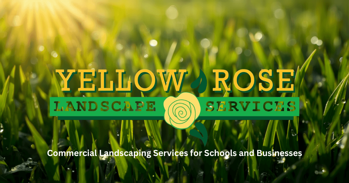 Yellow Rose Landscape Services