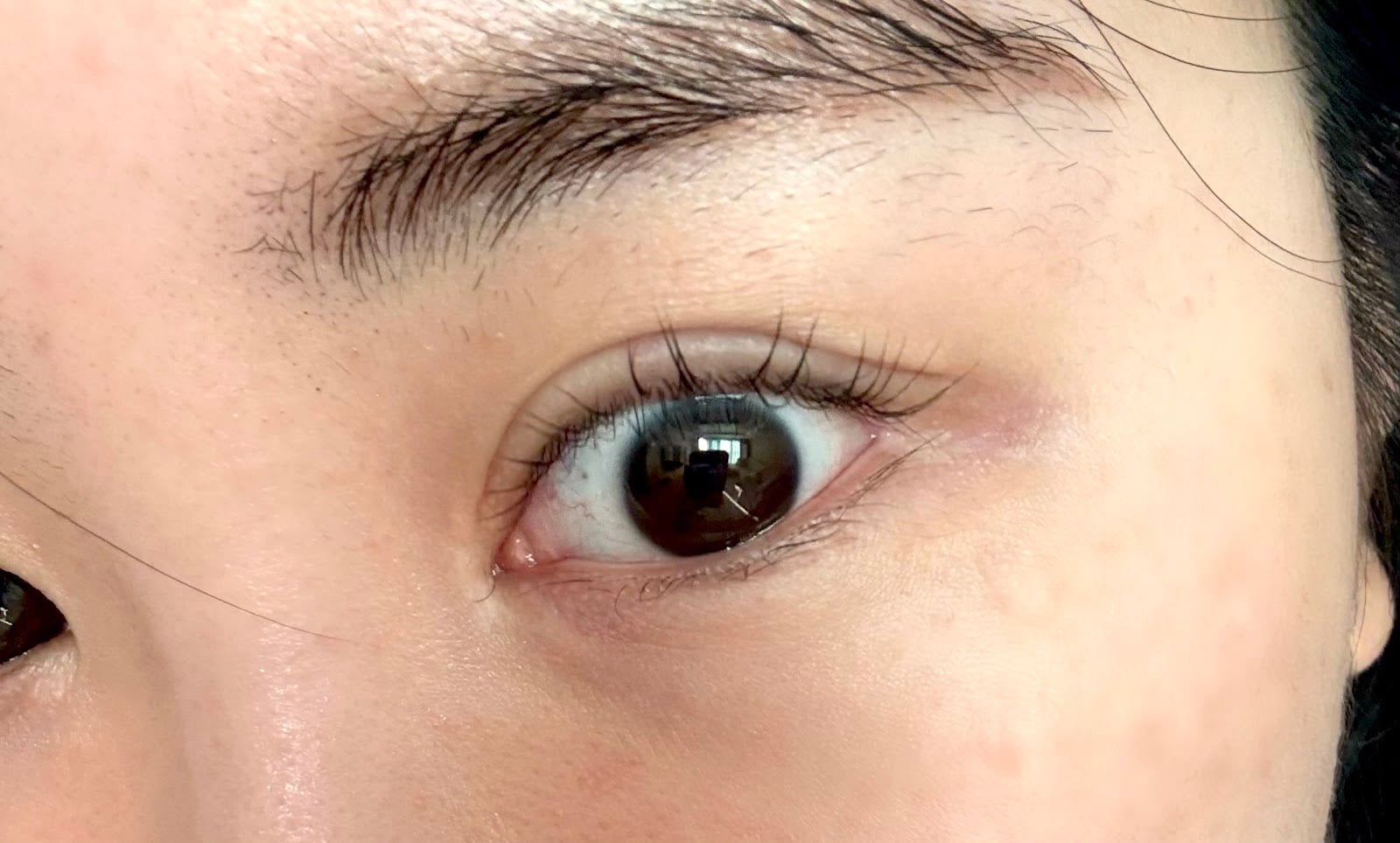 Lash day toronto