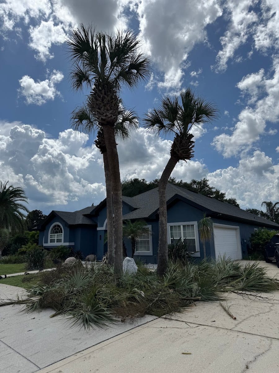 Triple S Tree Service, LLC