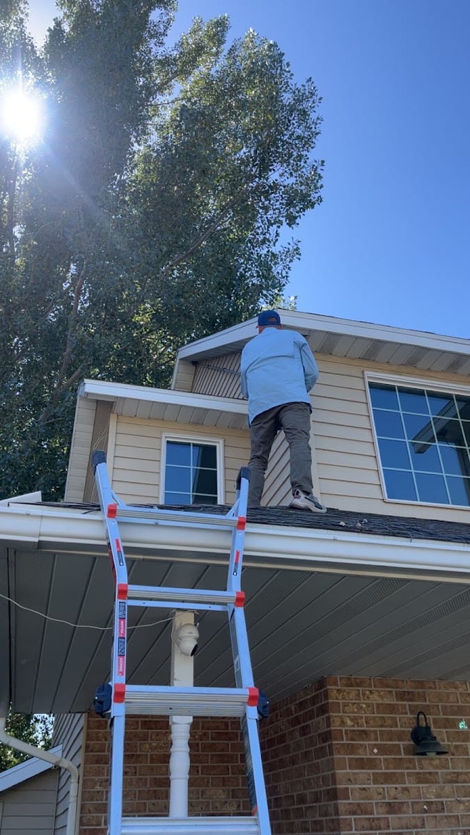 Ambient Pest Control, photo 3