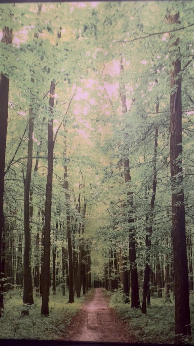 Broderick's Therapeutic World, photo 3