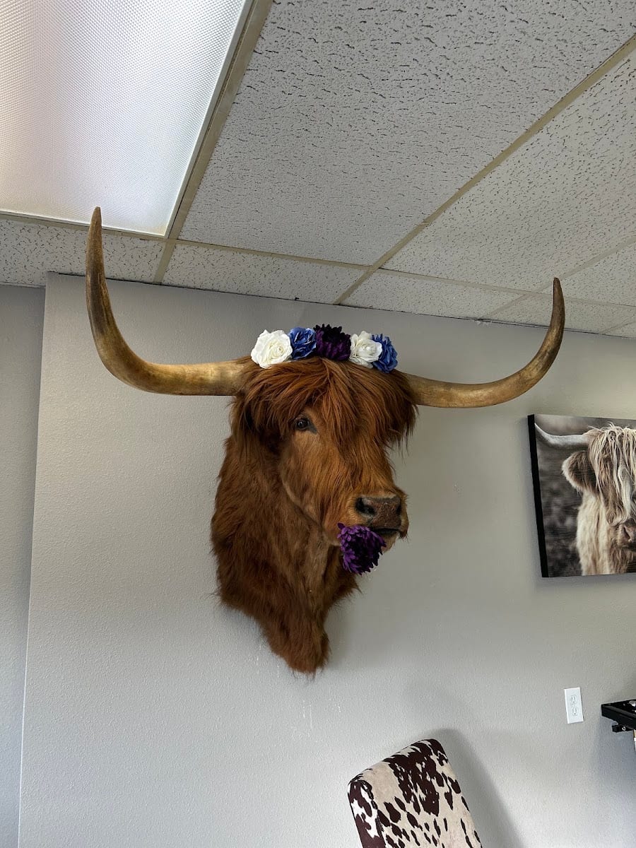 The CowLick Hair Saloon, photo 3