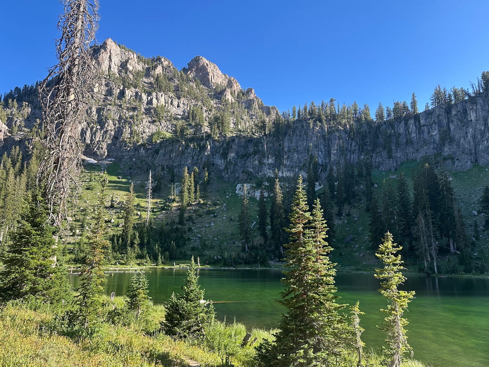 White Pine Lake Trail Head