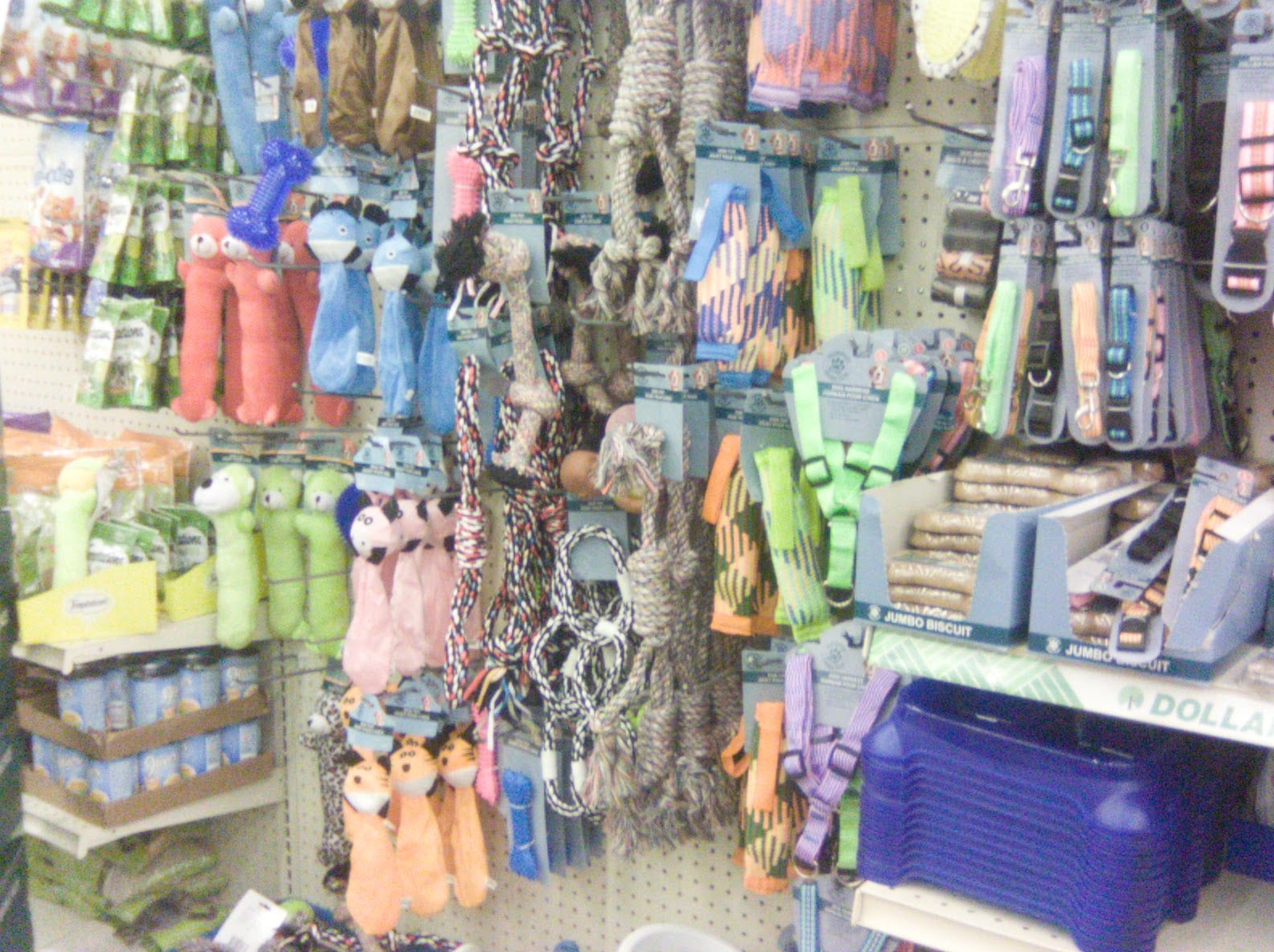 Dollar Tree, photo 3