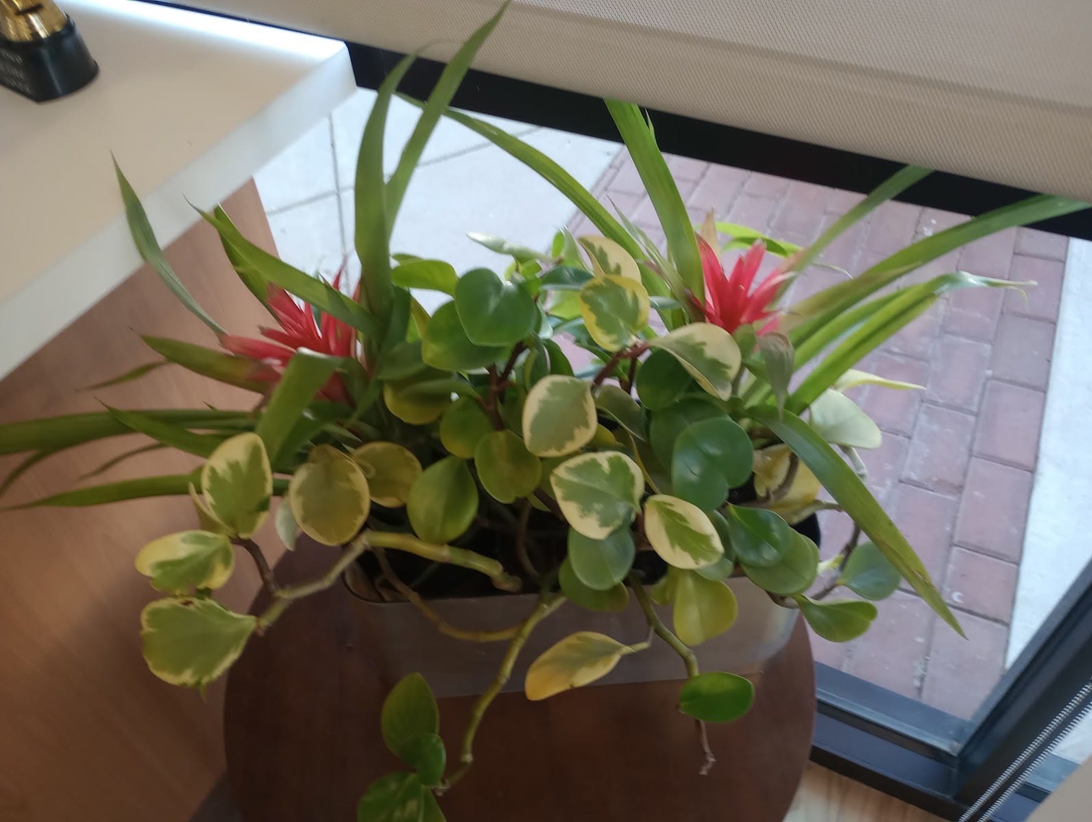 Concentra Urgent Care, photo 3