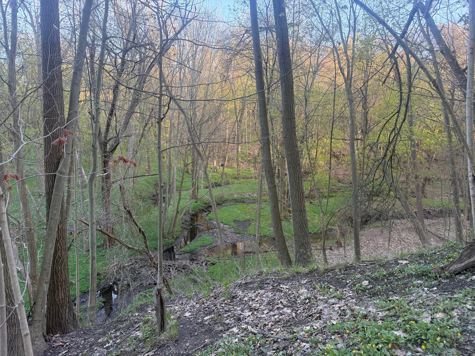 Tryon Park