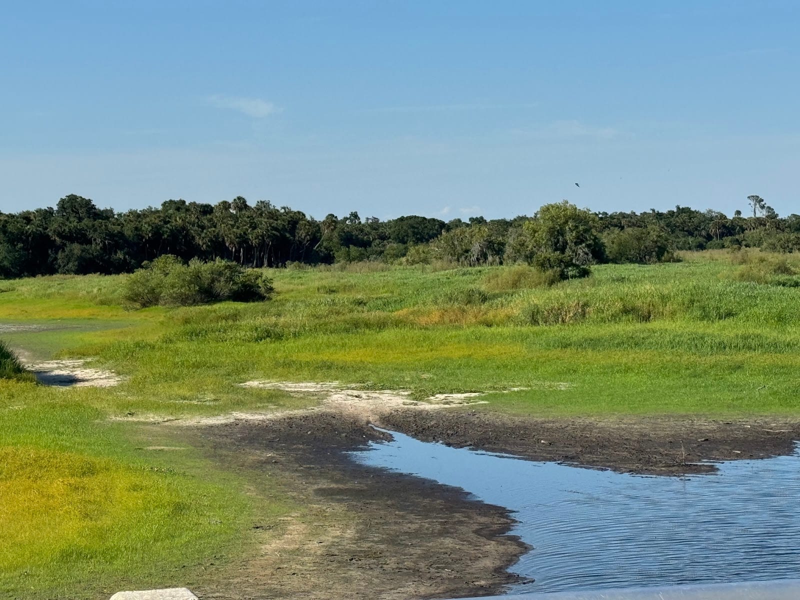 Kayak Launch- Myakka River State Park, photo 3
