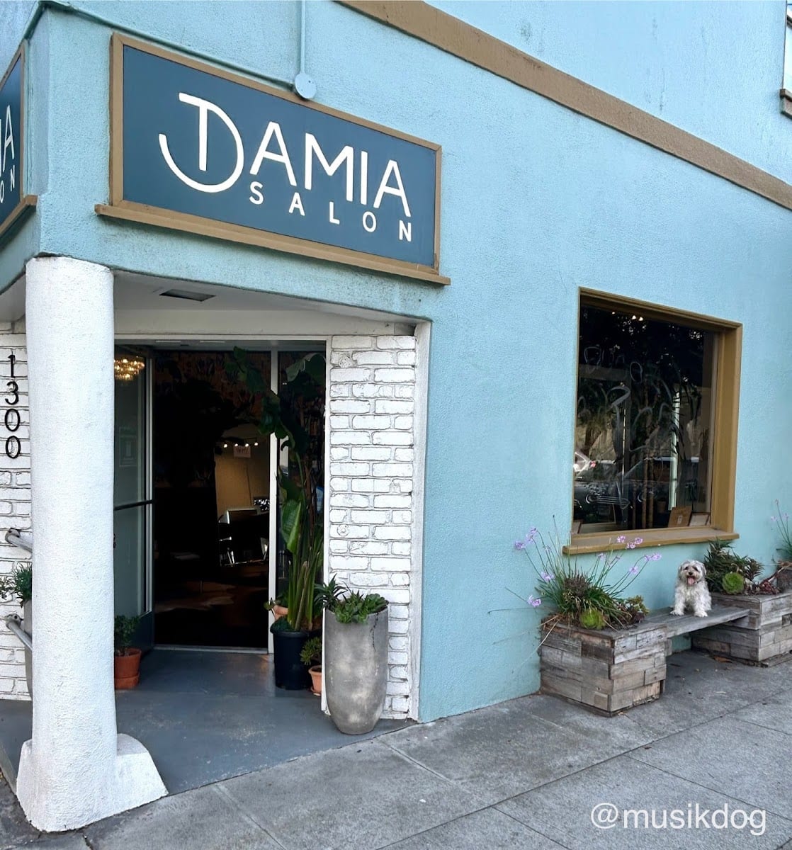 Damia Hair Salon, photo 2