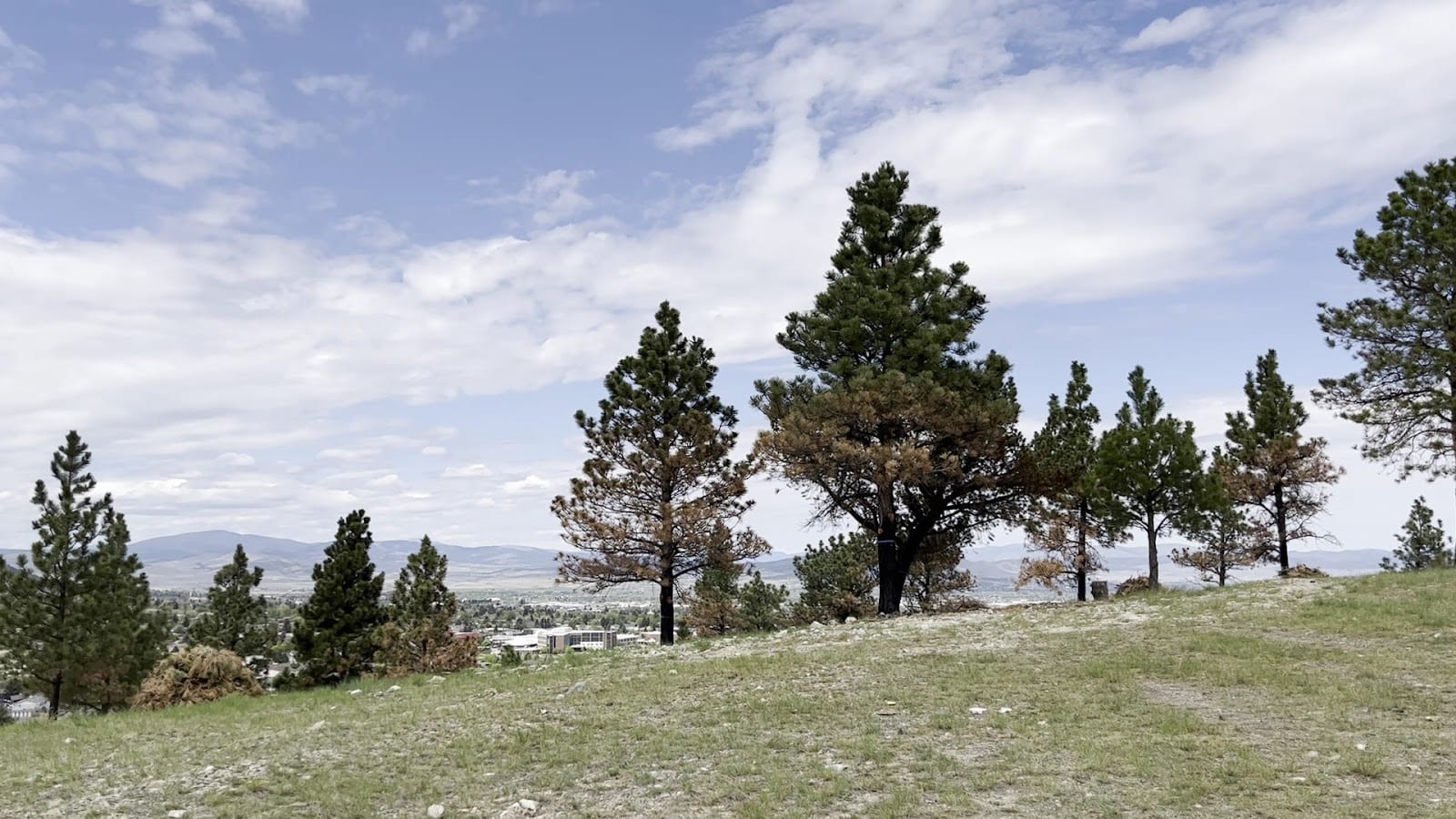 Nob Hill Park, photo 2