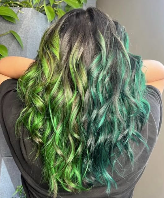 Tribeca Salon South Tampa, photo 4