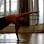 Cours de Pilates