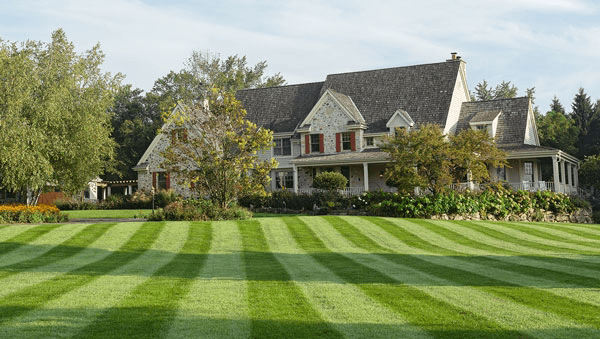 Max’s Lawncare