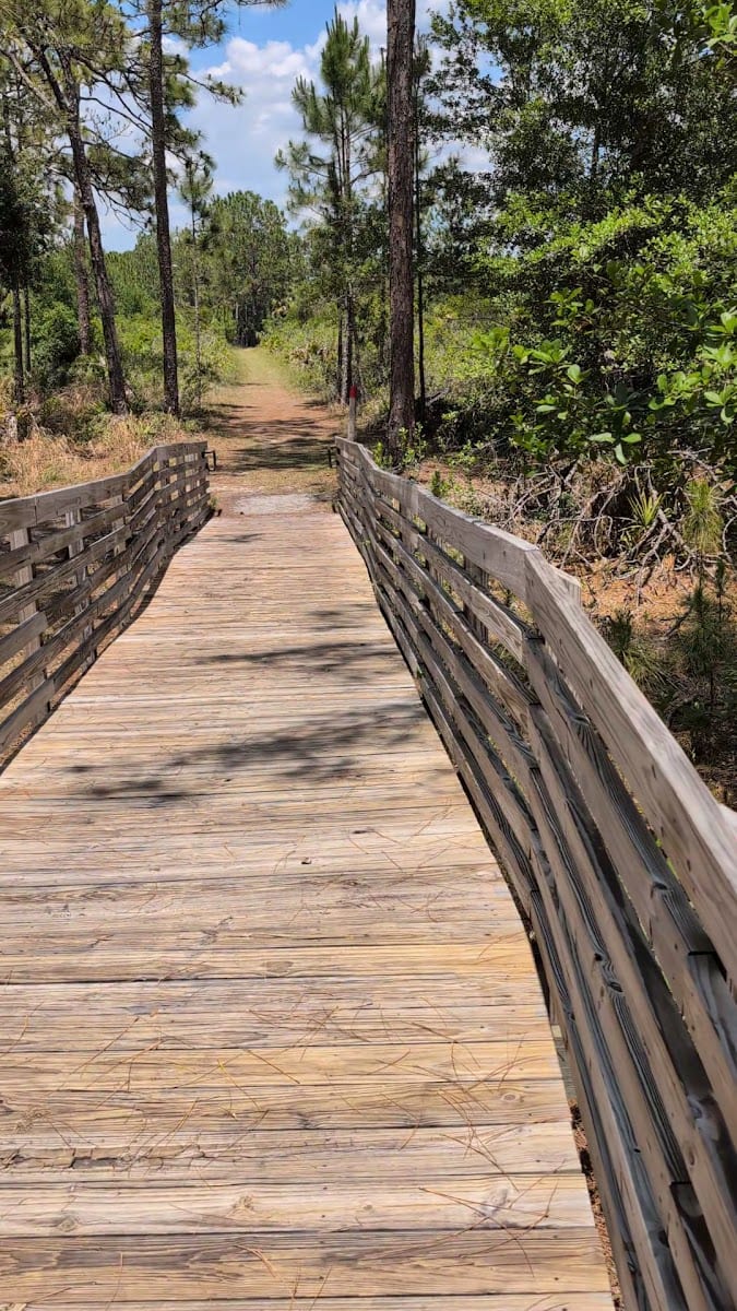 Cypress Creek Nature Preserve (Tampa), photo 2