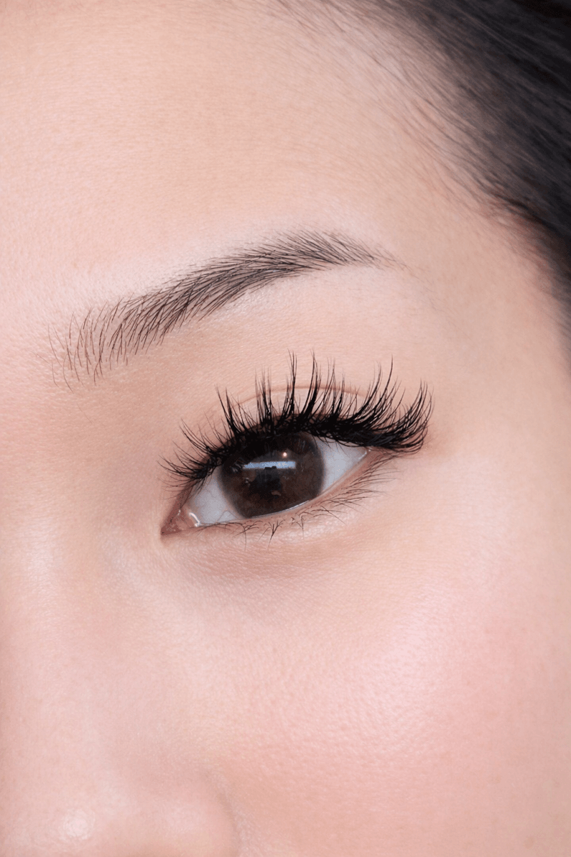CACTUS LASH by Cynthia - North York, photo 2