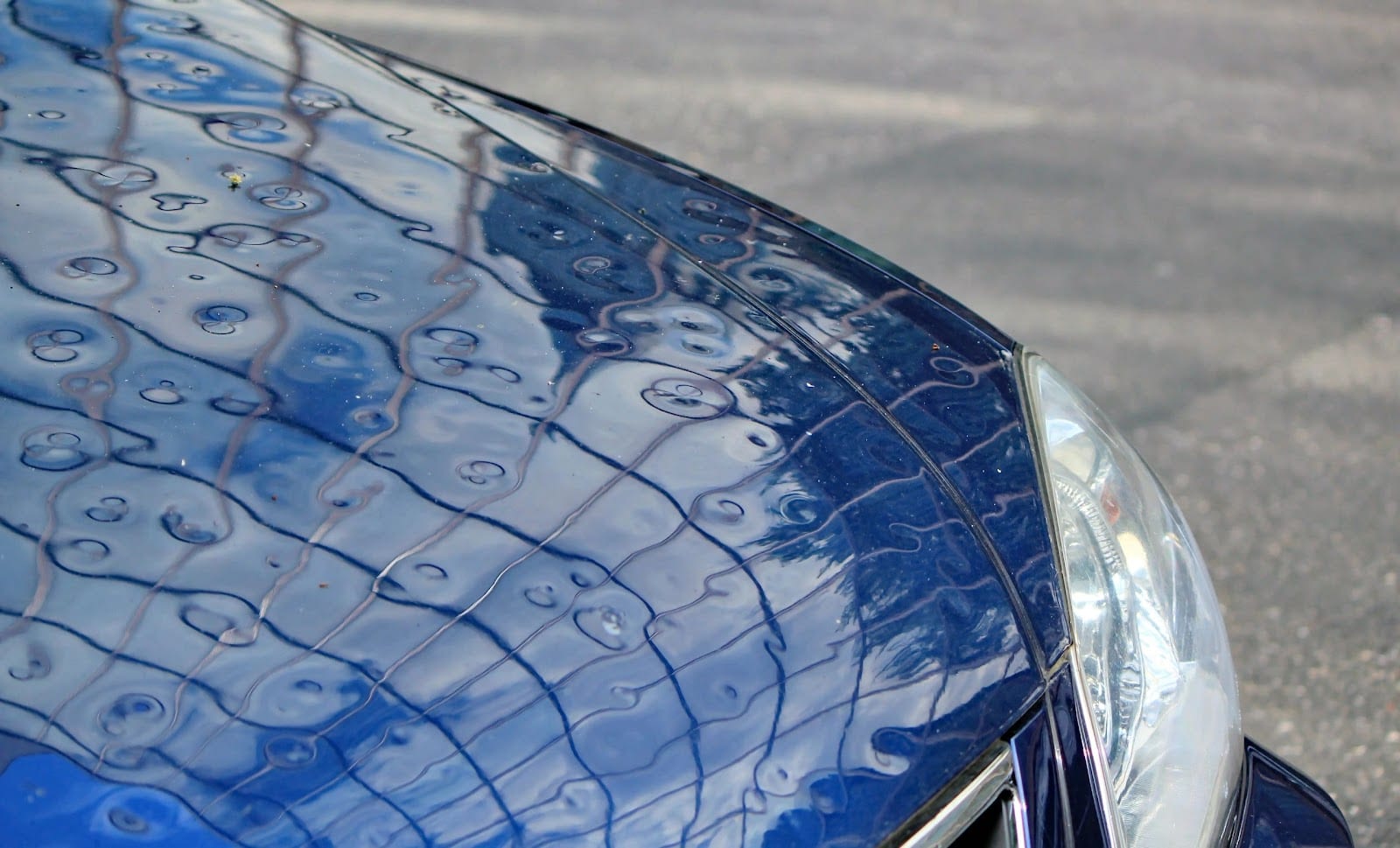 Garage Body Shop, LLC