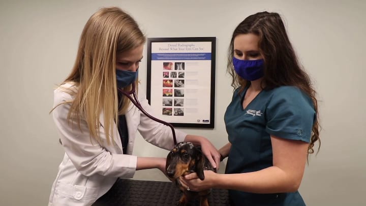Pleasant Valley Veterinary Clinic, photo 3