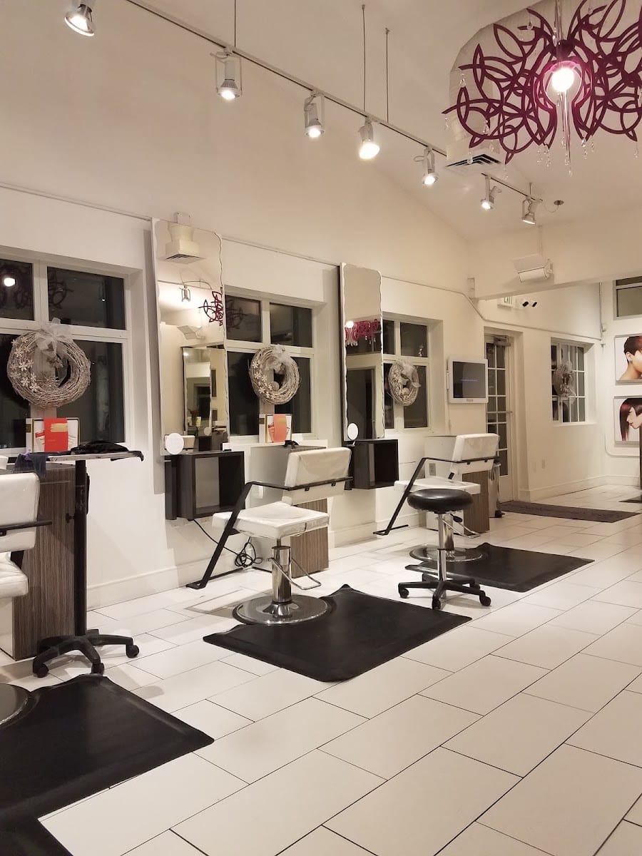 Lunatic Fringe Salon - South Temple
