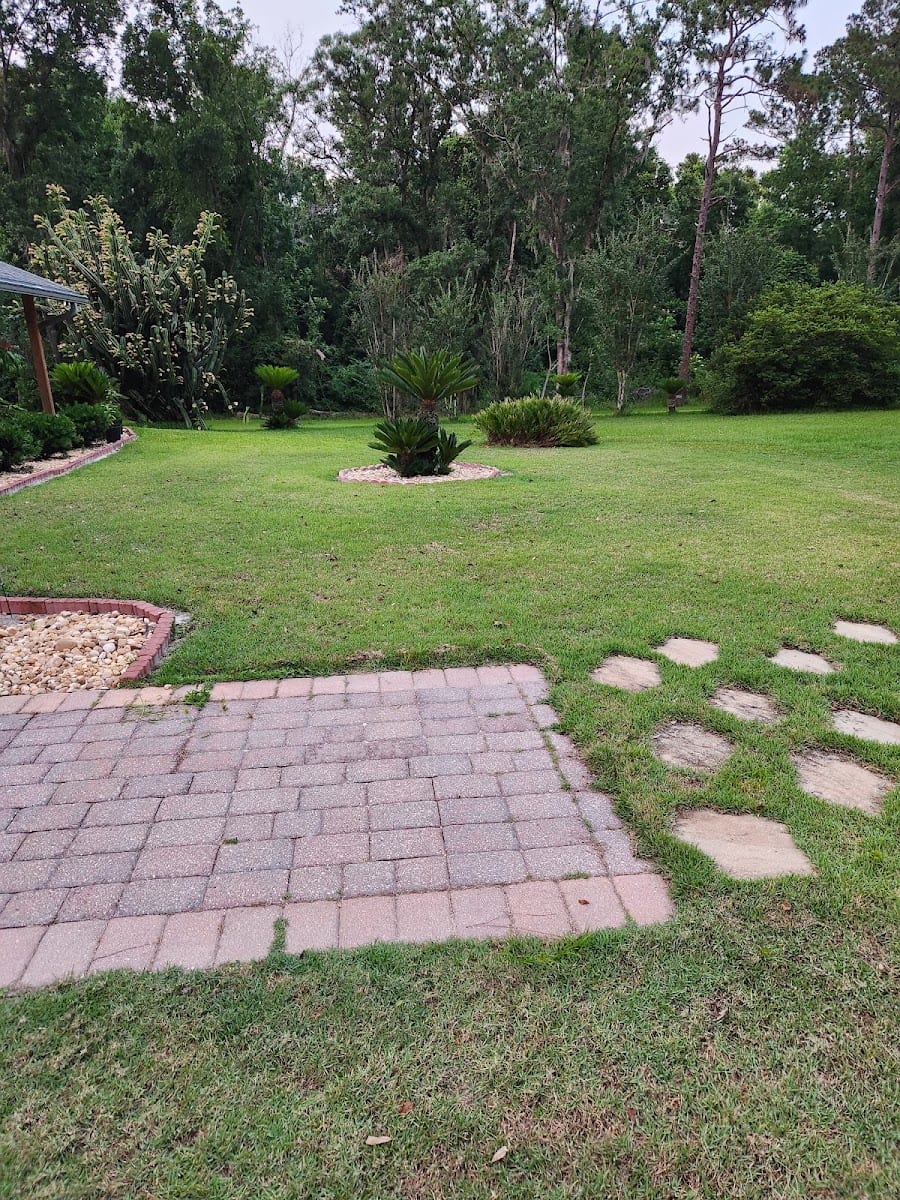 Precision turf of Jacksonville llc