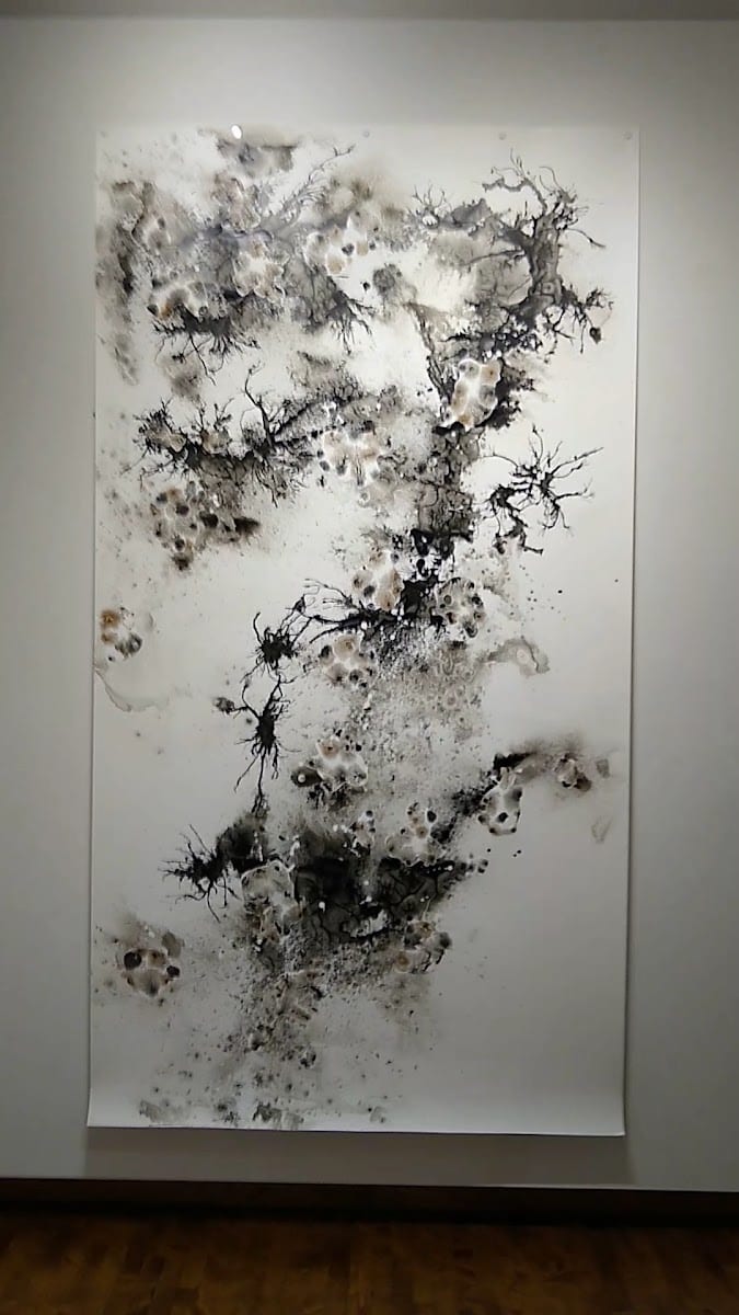 Lonsdale Gallery, photo 2