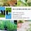 MC Landscaping LLC