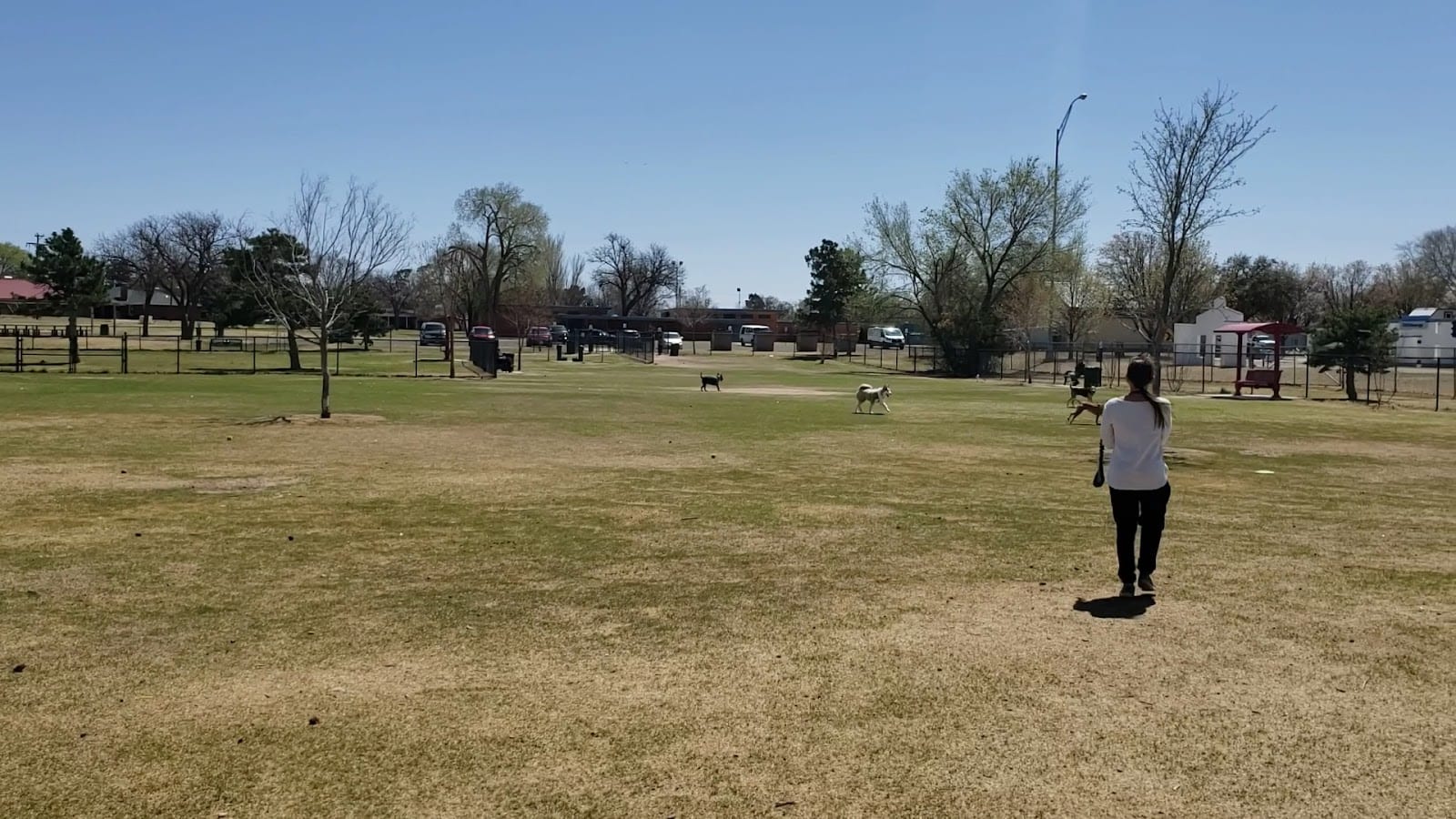 Clapp- Hub City Dog Park, photo 2