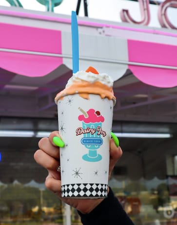 Dairy Joy- Tampa Ice Cream