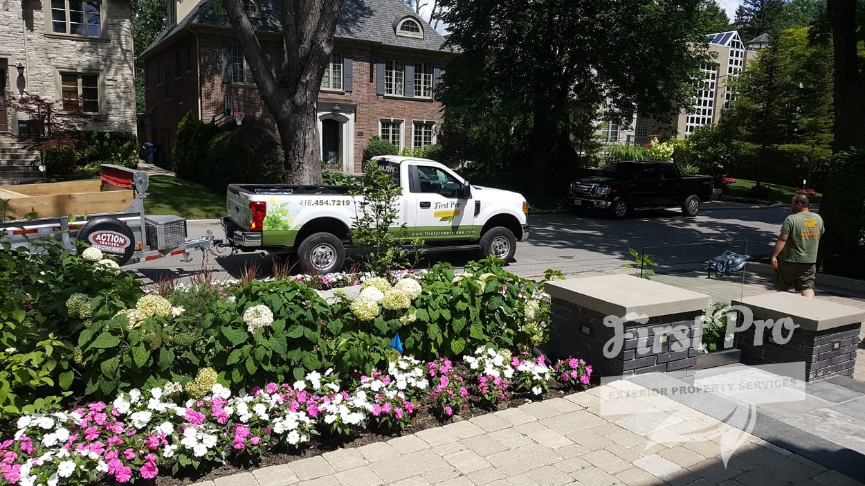 First Pro Services, photo 3
