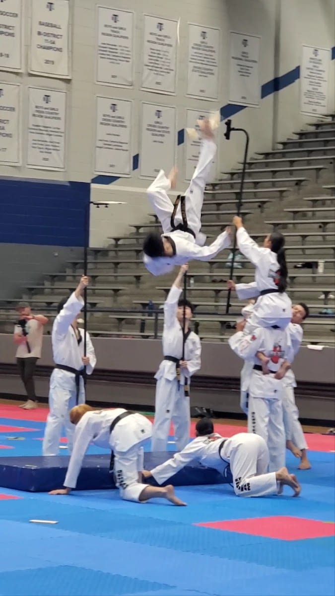 Elite White Tiger Taekwondo(Lewisville / Coppell), photo 3