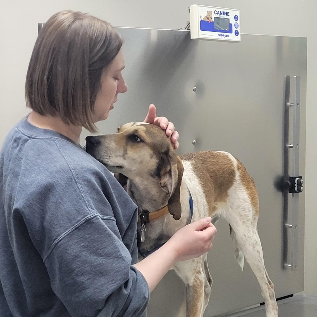 Madison Veterinary Hospital