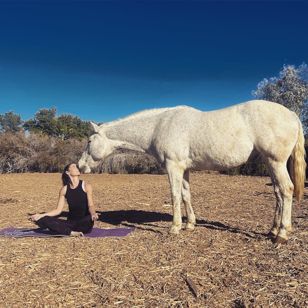 Yoga at the Ranch, photo 2
