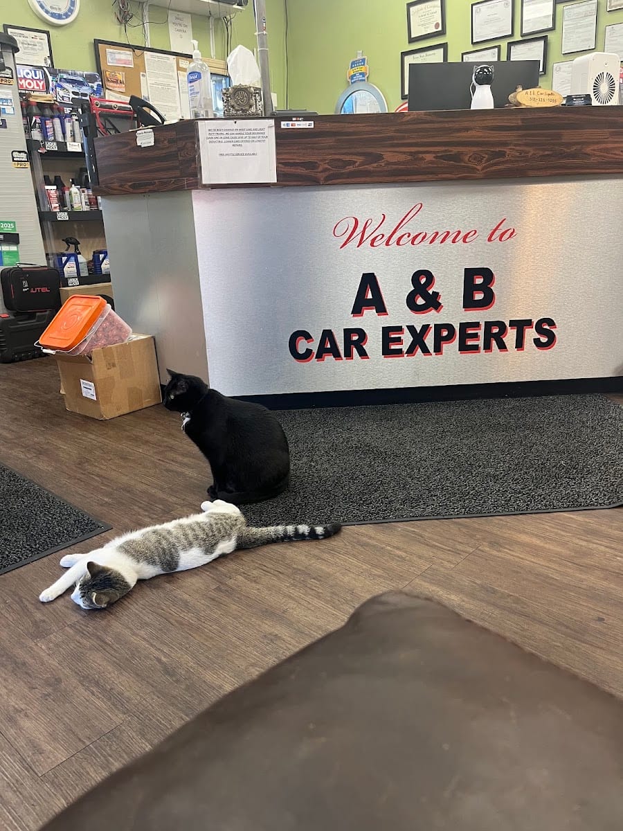 A & B Car Experts, photo 2