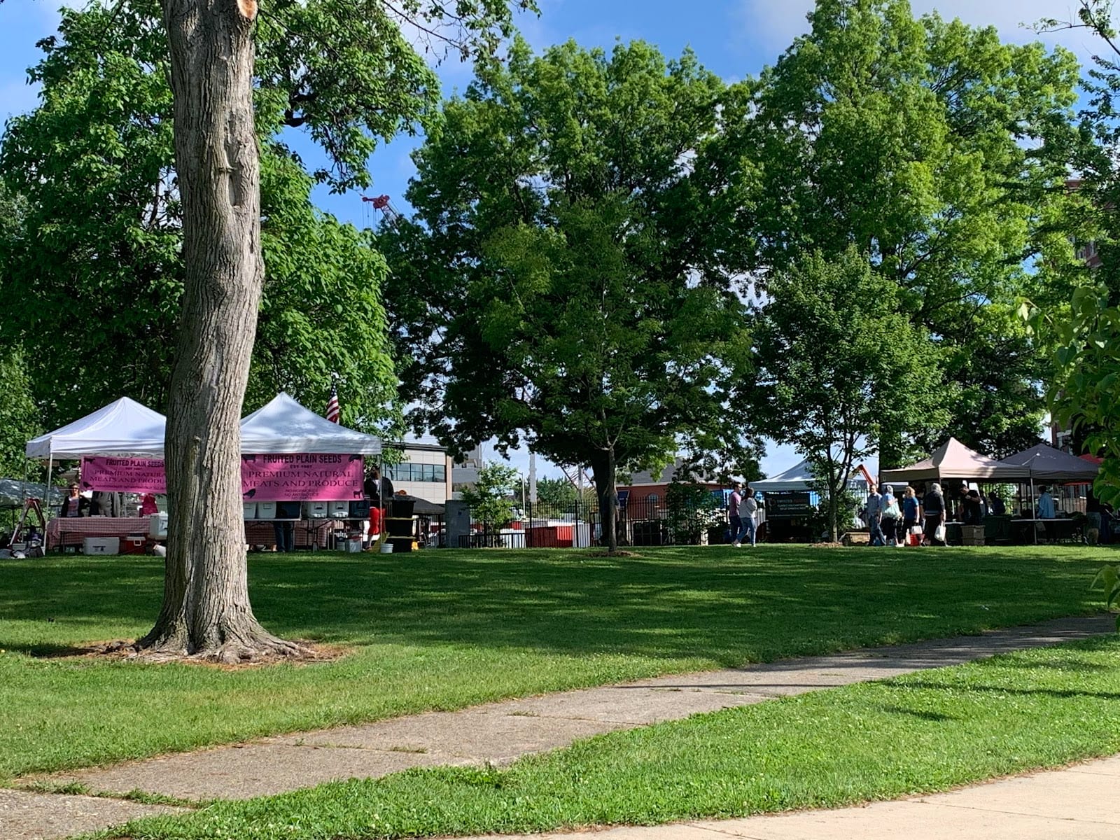 McCulloch Park