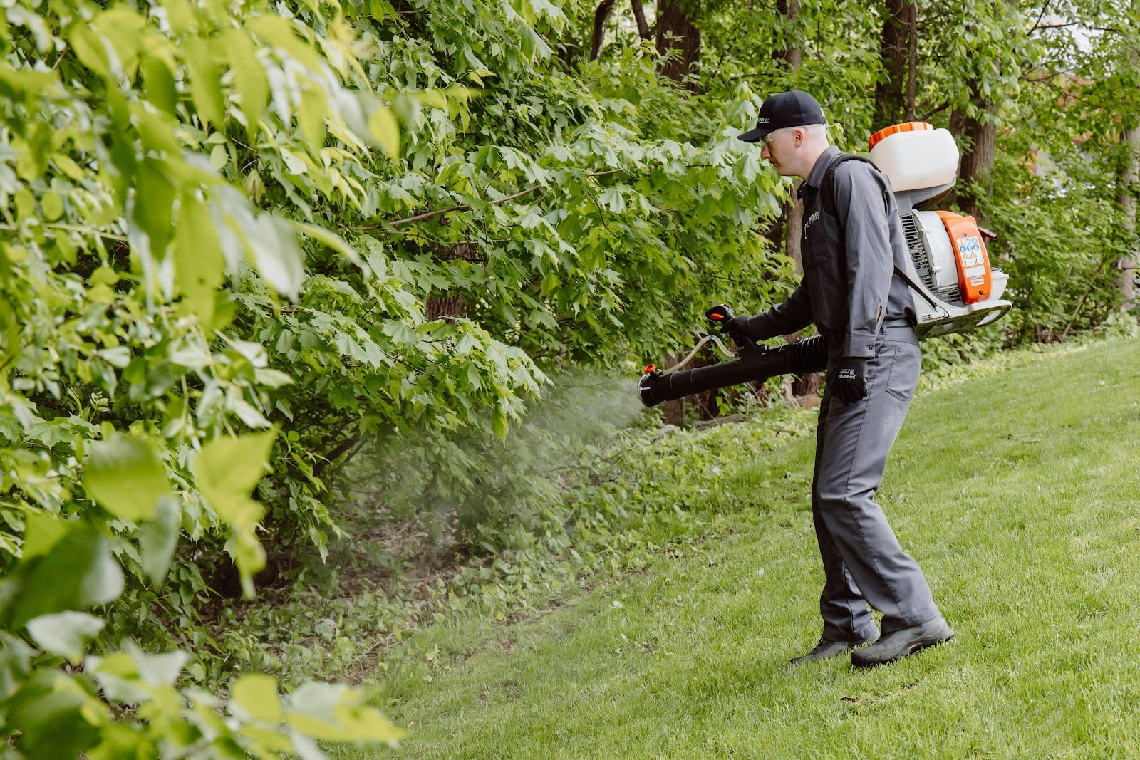 Spidexx Pest Control & Termite - Tampa, photo 3