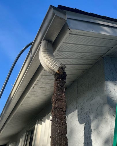 Port Charlotte Gutter Cleaning Service