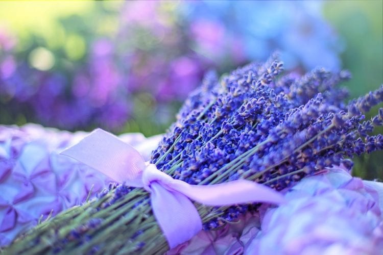 Lavender Suite Massage and Facial Spa, photo 2