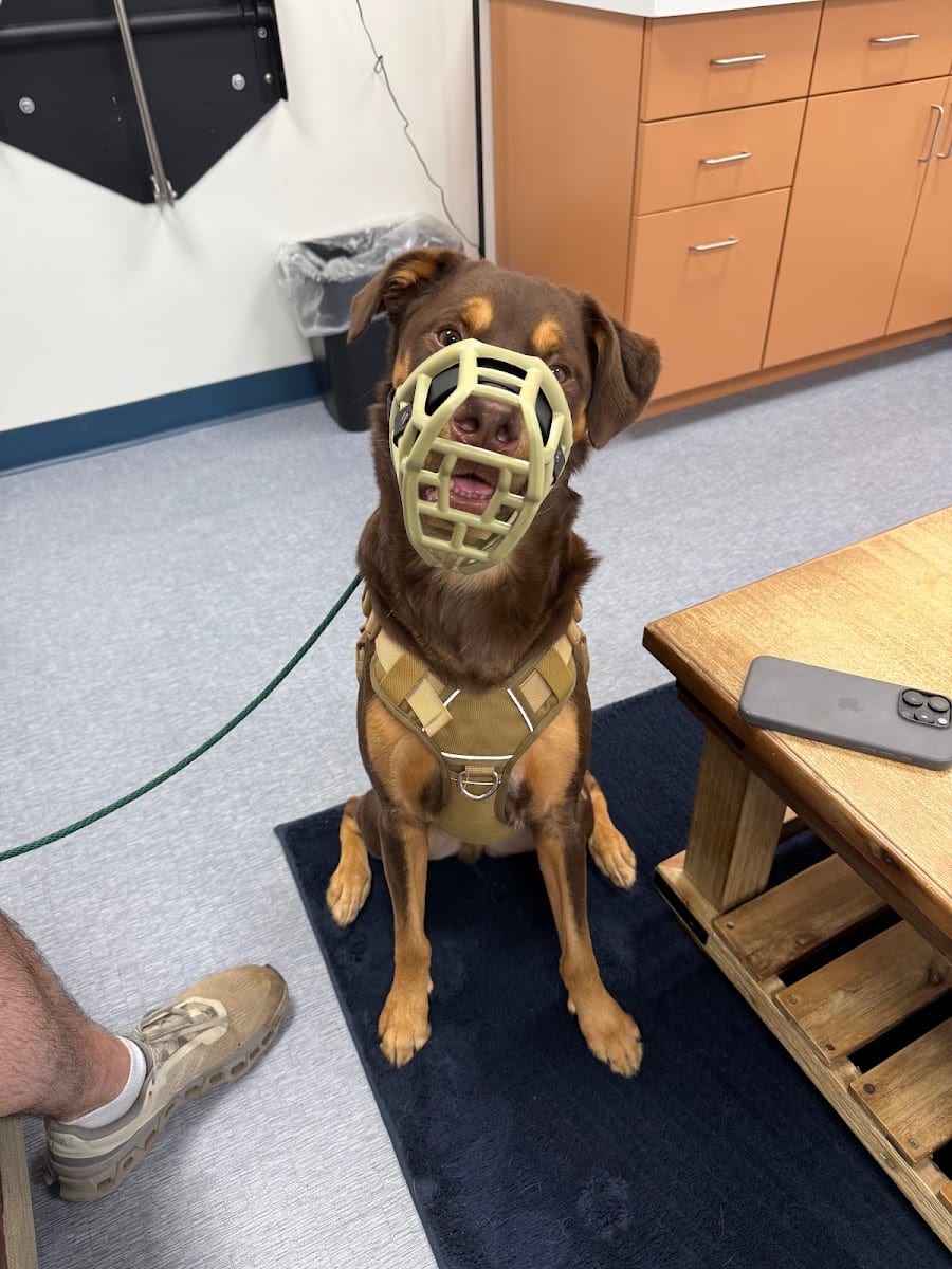 Southpaw Animal Clinic of Madison